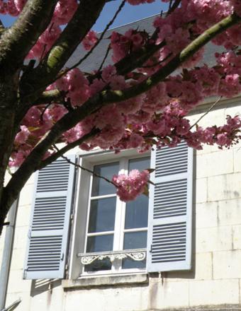 La Closerie Saint Jacques Loches Bagian luar foto